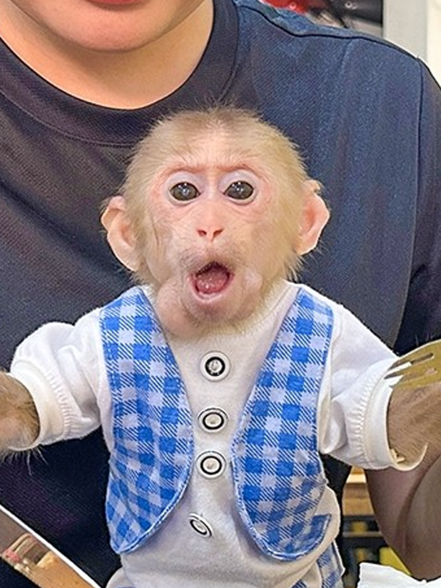 Lala enjoys luxurious breakfast at the restaurant after the medical examination!