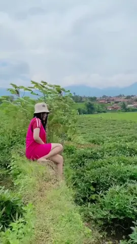 mau ketawa takut dosa video lucu bikin ngakak hiburan warga+62  #viral #trending #tiktok #viralvideo  #funnyvideos 