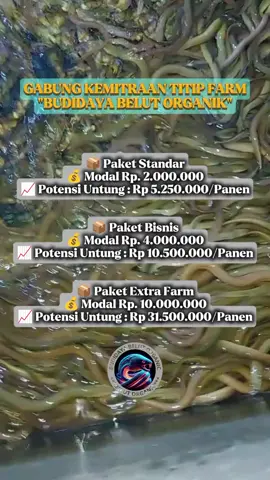 Apakah anda tertarik dengan peluang usaha yang menjanjikan. Kami megajak anda untuk bergabung dalam budidaya belut, sebuah bisnis degan prospek cerah dan permintaan pasar yang terus berkembang. Kami juga menawarkan program titip farm. Dimana anda dapat berinvestasi di usaha budidaya belut tanpa perlu megelola langsung. Cukup titipkan modal anda pada farm kami, dan kami akan kelola degan profesional, memberikan keuntugan stabil tanpa ribet #budidayabelut #fyp #titipternak #titipfarm  #investasi