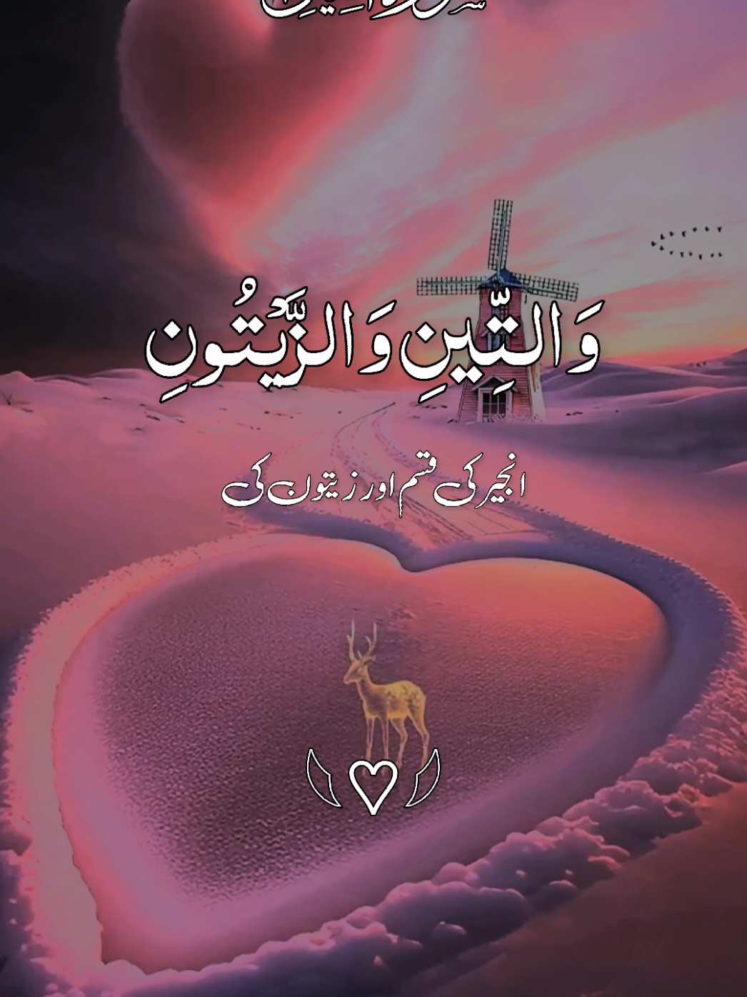 القرآن الکریم 🌹🌹❤ #quran #quranicquotes #islamicreminders #islamicreelsvideo #growmyaccount 