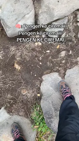 cari barengan 😩 #ciremai #ciremaiviaapuy #ciremaiviasadarehe #mountain #pendaki 