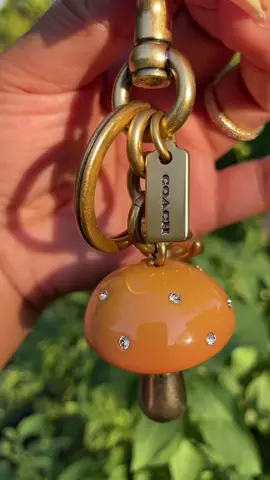My first Veggie Charm #coachcharm 🍄 ✨ ✨🤏🏽🤏🏽 #coach #mushroomcharm @Coach 🫶🏽🫶🏽 #lamorenajess 