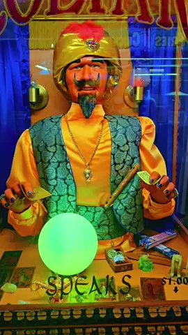#zoltar #fair #fortune 🔮