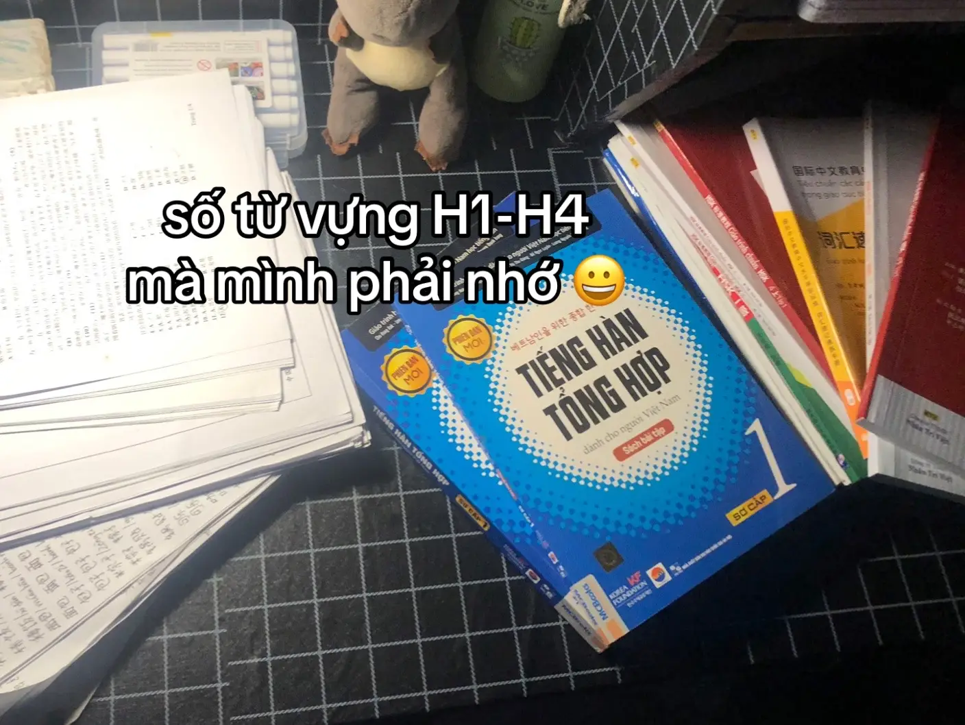 #hsk #student #xhhh #hoctap📚 