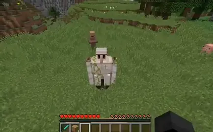 bro is NOT having a good time #gaming #nrg #Minecraft #minecraftmemes