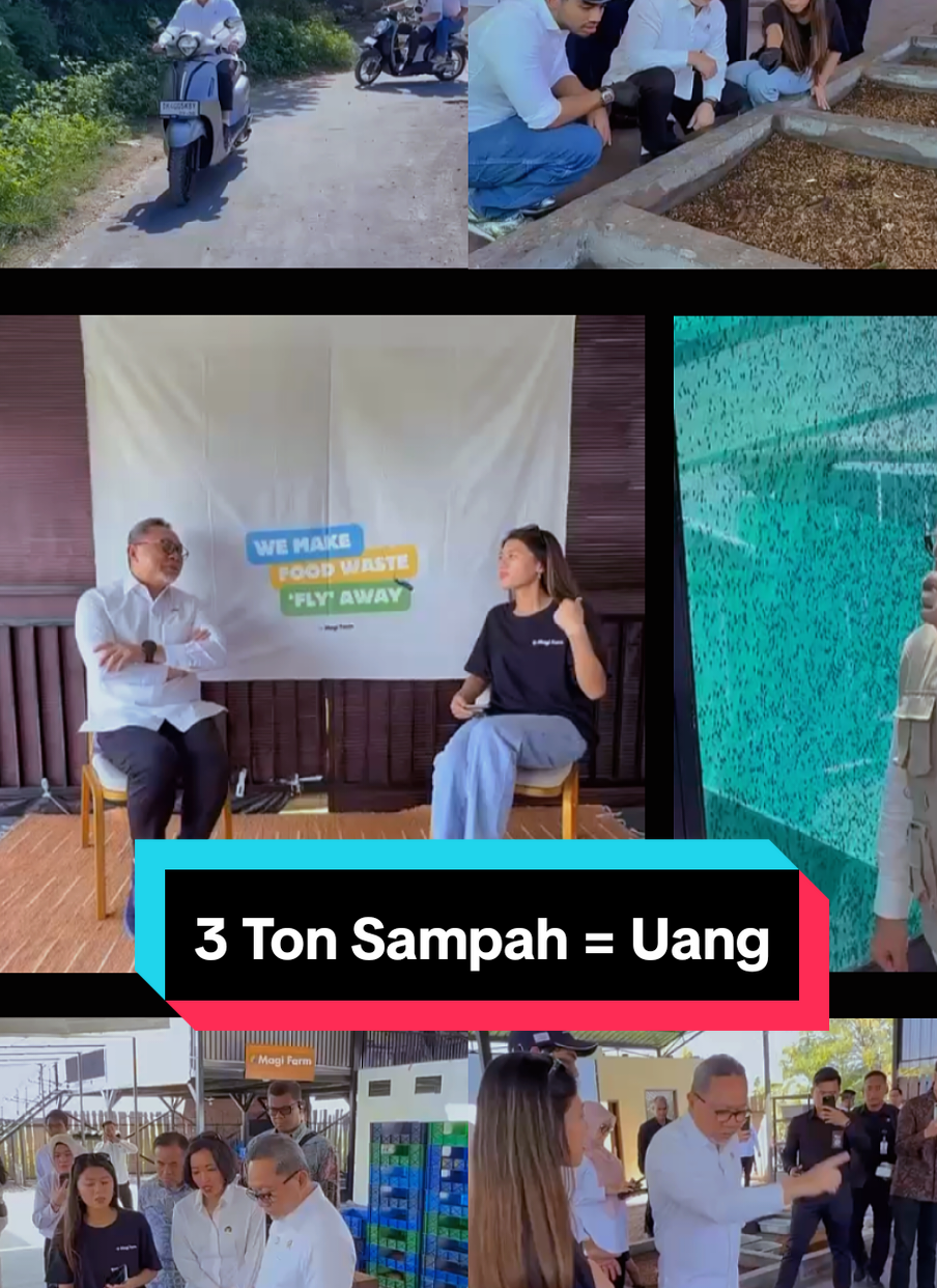 Setiap hari, 3–5 ton sampah diolah Magifarm jadi pupuk & pakan ternak. Bukan sekadar mengurangi limbah, tapi menggerakkan ekonomi sirkuler dan menghidupkan petani & peternak.@zul.hasan #zulkiflihasan #menkopangan #bantupanganbanturakyat #kopdesmerahputih #foodwaste 