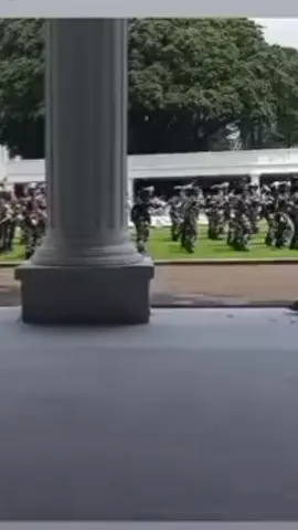 Bgmna kalo penyayi Tabola bale ada di istana🔥🔥