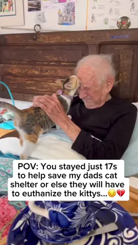 Every comment matters more than you realize.❤️🐈#cats #shelter #animal 