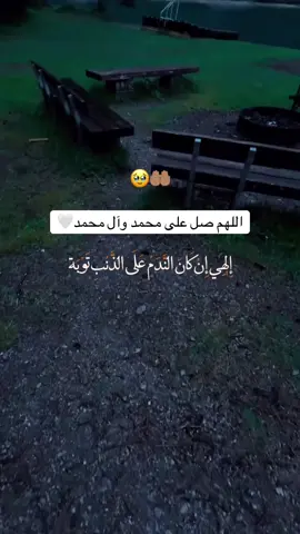 #حب_الحسين_يجمعنا #مشاية_الامام_الحسين #خادم_الحسين #الحسن_المجتبى_علية_السلام #ياأبافاضل_دخيلك #الشيخ_علي_المياحي #ياحسين❤️😭 #ياعلي_مدد #اللهم_صل_على_محمد_وآل_محمد 