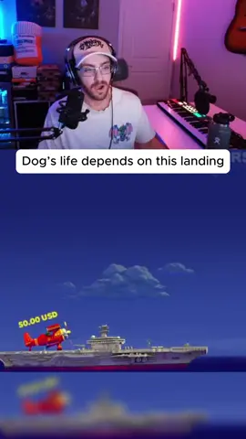 Dog’s life depends on this landing #avia #plane #dog #life