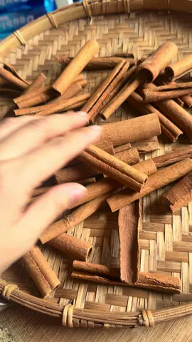 Quế khô #moctratherapy #thaomoc #thuhutmayman #manifest 