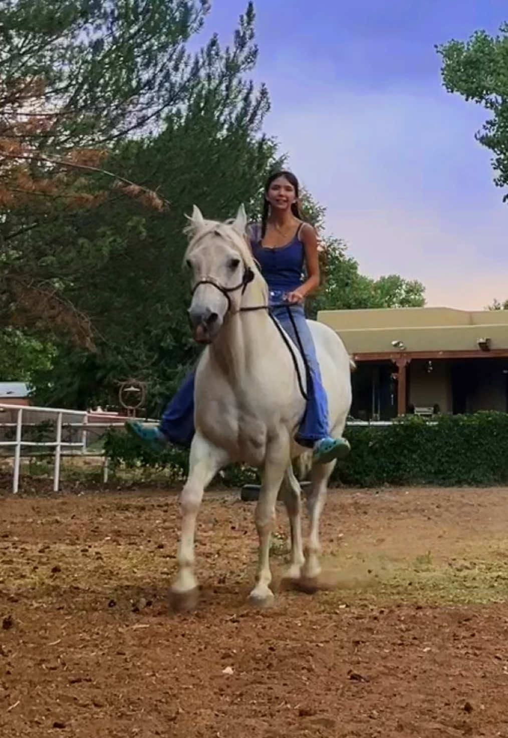 Unshadow bann me rn HELP ME GUYS #fypシ #princewhimpyjuniperthefourth #actives? #horses #western 