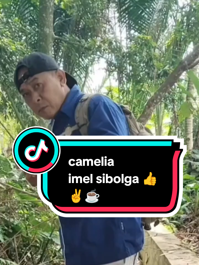 #camelia#sibolga#bestythebeast@dezniiimeldatanjung 