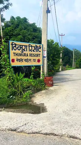 Thimura Chitwan#bharatpurmetropolitancity #chitwan #viralvideo #tranding #foryou 
