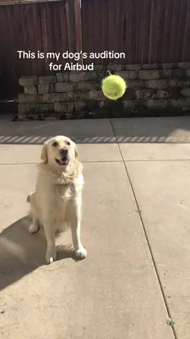 Will she get a callback?