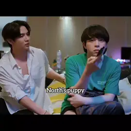 north's puppy got scolded, cutie p'johan🥹🤏🏻 #johannorth #bas #maxky #maxkybas #6code 