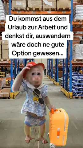 #viral #gehmalarbeiten #support #kollegenliebe #lieblingskollege 