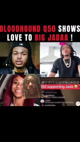 Bloodhound q50 and Jada #chicagotiktok #fullychop #bloodhoundliljeff #bloodhoundq50 #jadaa 