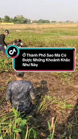 Cảnh quê #que #binhyen #xuhuong 