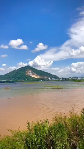 Châu đốc ơi … #nhachaymoingay #nhactamtrang #dulich #nhac8x9x #67angiang 