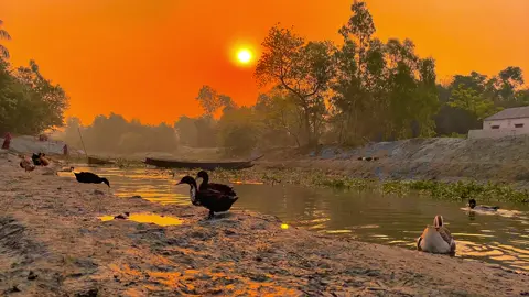 তোমাকে প্রতিদিন সরাসরি দেখার সৌভাগ্য হয় না,তবে তোমার ছবি যতবার দেখি ততবারই প্রেমে পড়ি 🫶❤️#almgirkhan87 #foryou #fypage #tending #vairal @For You @TikTok 