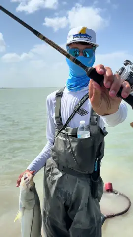33” and 31” + multiple slots all on the Salt Recon by @BattleBornRodz 2.0. Red 1/8 oz Pro series @SaltyHeadTackle doin the dirty work. @Matt Heep with the cam work💪 #saltwaterfishing #fishing #southtexas #snook #customrod 
