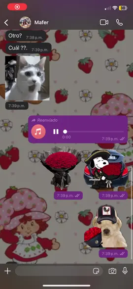 🥳🥳 #fyppppppppppppppppppppppp #serenata #bestie #fypシ゚ #audiosdewhatsapp 