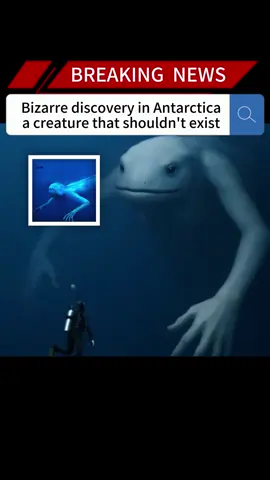 Bizarre discovery in Antarctica-a creature that shouldn't exist#news #fyp #breakingnews #foryou#us #discovery #exist 