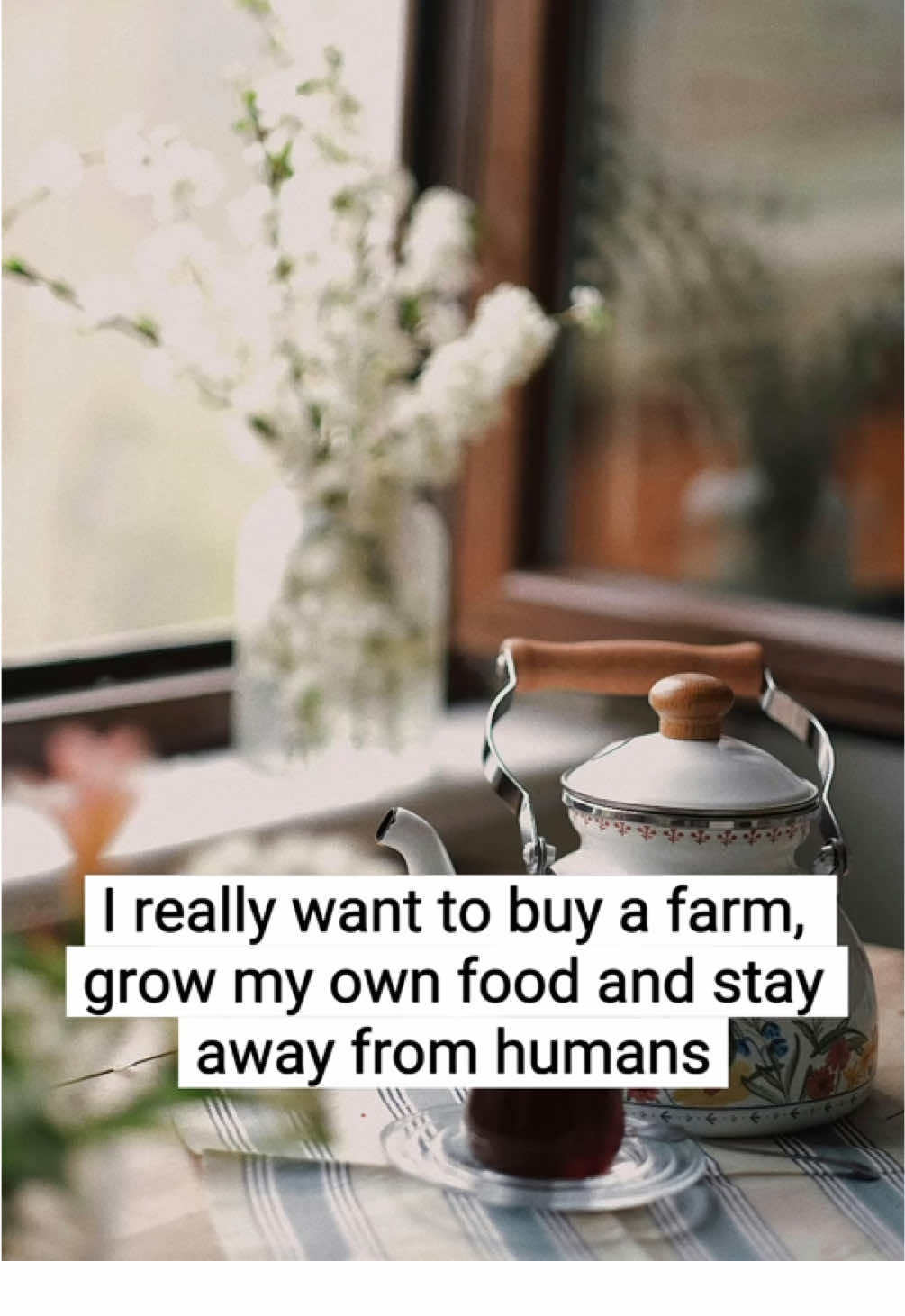 Dream life: grow food, talk to plants, avoid people. 🌱🚜 #fyp #meme #life #farm #introvert 