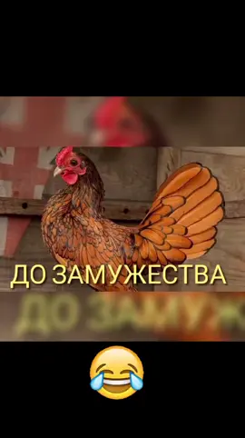 #смех #ржака #юмор_видео #прикол #юмор 