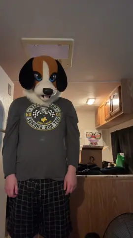 Thank you!😊#furry #furryfandom #fursuit #furrytiktok #furries 