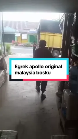 #promomakanmerdeka #sawit #sawitriau #sawitjambi #sawitmedan #sawitpalembang #sawitkalimantan #sawitindonesia #sawitkalbar #sawitaceh #sawitinhu #sawitsumbar 