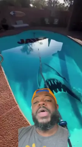 Jaws in your Pool  Art by: Jason_thirty1 on ig  #jaws #shark #pool #poolart 