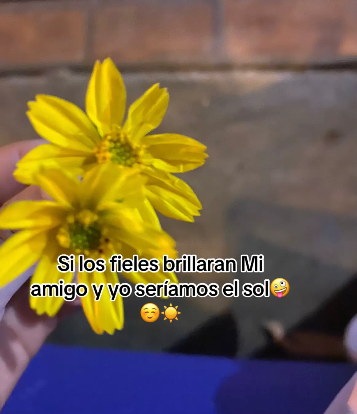 #tiktokviralpartiiii#apoyopliss#elsol