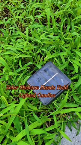 Skeleton Hands Hold Lighted Candle #halloweendecor #halloweenseason #halloween #halloweenlights #solar 