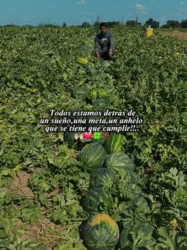 #CapCutMotivacional #CapCut 
