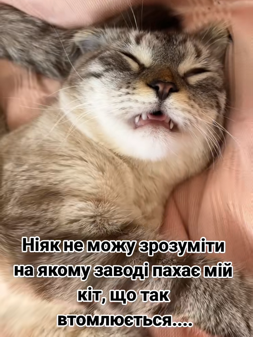 #цьогодня 