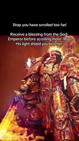 This is a blessing checkpoint!!! #warhammer40k #warhammercommunity #warhammerlore #warhammertiktok #warhammer