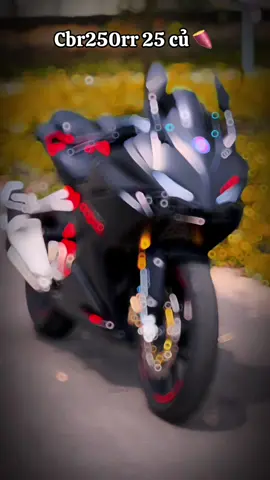 Cbr250rr 25 củ 🍠 ae rước xe về  #dammepkl #motorcycle #pklvn #Motorsport #xuhuong 