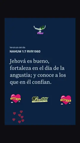 SAN MATEO 5:16 RVR1960#labibliaapp#versiculodeldia #fe#amor#fuegodelespiritusanto #juan316#pauljj