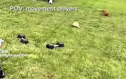 Bloodstrike movement player Belike:  . . . . . #bloodstrike #bloodstrikeclips #bloodstrikemobile #bloodstrikeupdate #bloodstrikeproject #bloodstrikecc #bloodstrikemena 