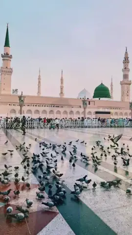 اسلام یارسول اللہ صلی اللہ علیہ وسلم  کرم ـ فرمائےـ یارسول اللہ صلی اللہ علیہ وسلم 