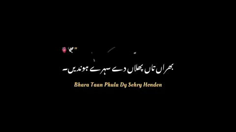 آمین سم آمین ۔🥺❤️‍🩹🦋 #foryourpage #foryou #blackscreen #blackscreenvideo #unfreezemyacount 