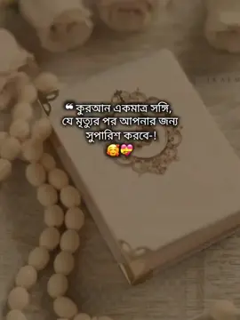 কুরআন একমাত্র সঙ্গি,  যে মৃত্যুর পর আপনার জন্য সুপারিশ করবে।সুবহান আল্লাহ 🌸❤️‍🩹#foryou #foryoupage #tranding #islamic_video #ইনশাআল্লাহ_for_you_তে_যাবে। @TikTok @TikTok Bangladesh 