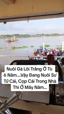 #giaitritiktok 