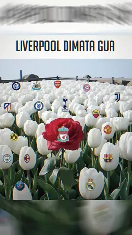 bagian 9 | nih ver Liverpool,apa lagi#football #liverpool #foryou #fyp 