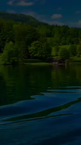 #CapCut #foryoupage_foruyou_tiktok #forpage100000kviews #viralvideo 