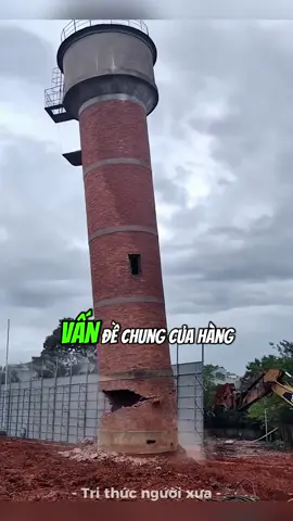 Vấn để chung của hàng triệu người trẻ hiện nay #phattrienbanthan #trithuc 