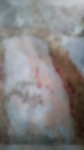 #foryoupage❤️❤️ #viralvideo #viralvideo #viralvideo #Allah mery Walid ko jannat ul firdoos main Alla mukam aata kry Aameen