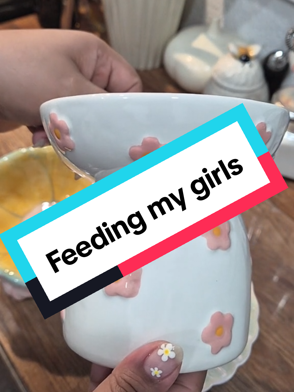 feeding the ladies #cat #dog #feedingtime 